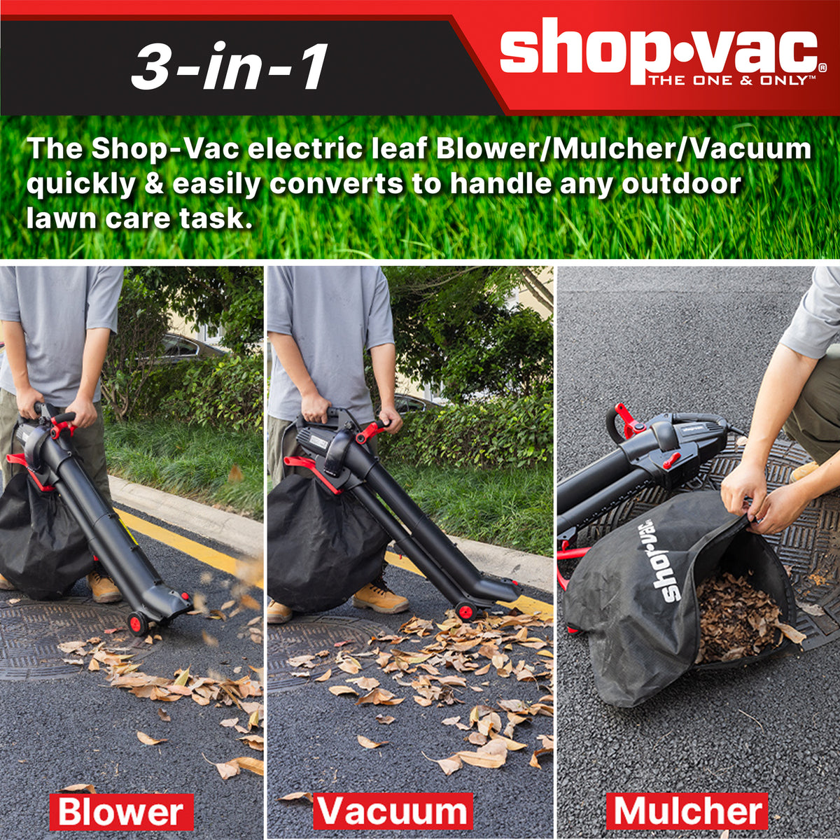 Can Leaf Vacuum Mulch Wet Leaves: Ultimate Guide to Efficient Cleanup