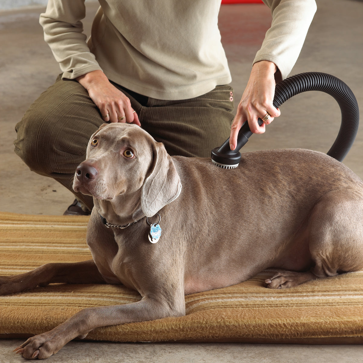 Grooming vacuum attachment top