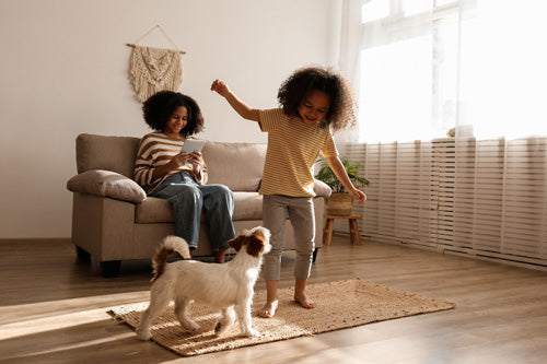 4 Must-Have Shop-Vac Accessories for Conquering Any Cleanup