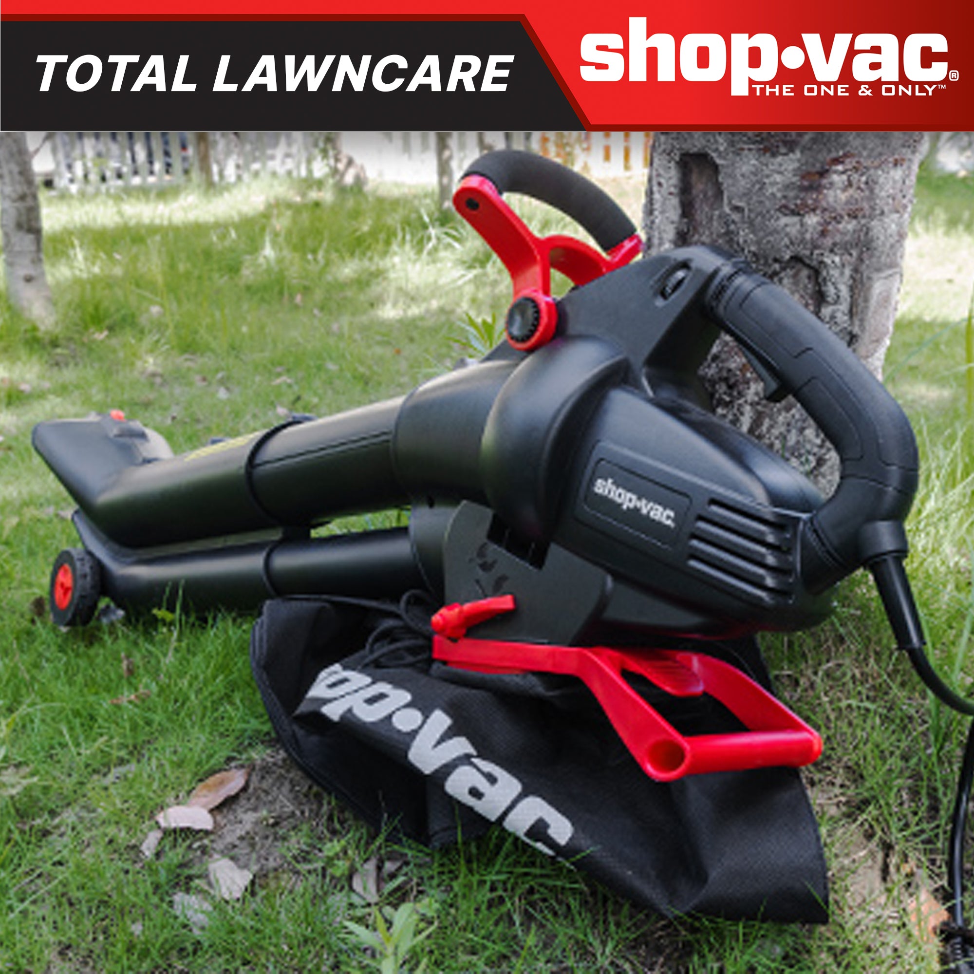 How to Use Electric Leaf Vacuum: Expert Tips for Effortless Cleanup