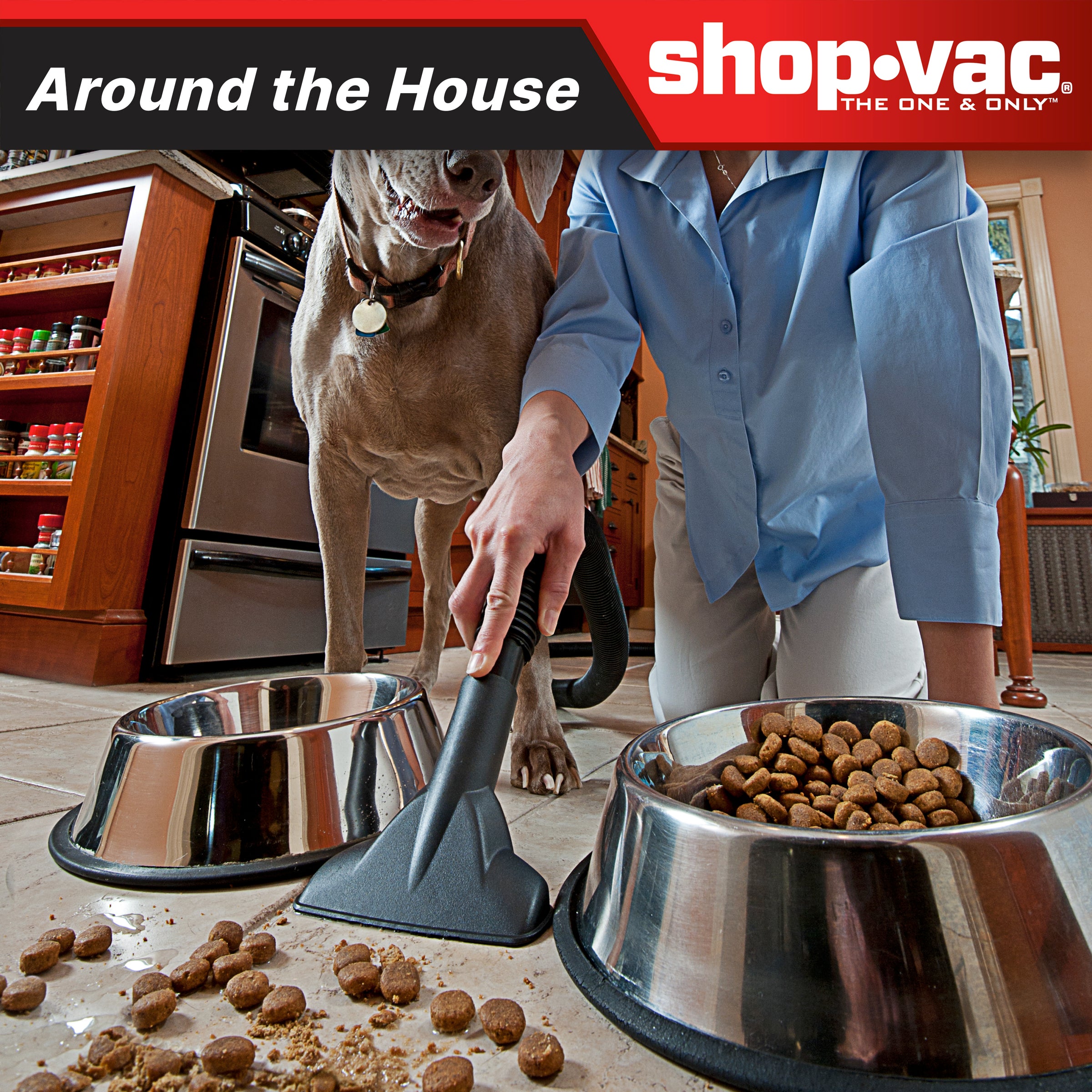 Shop-Vac 12 Gallon 6.0 Peak HP Stainless Steel Wet/Dry Vac | Shop