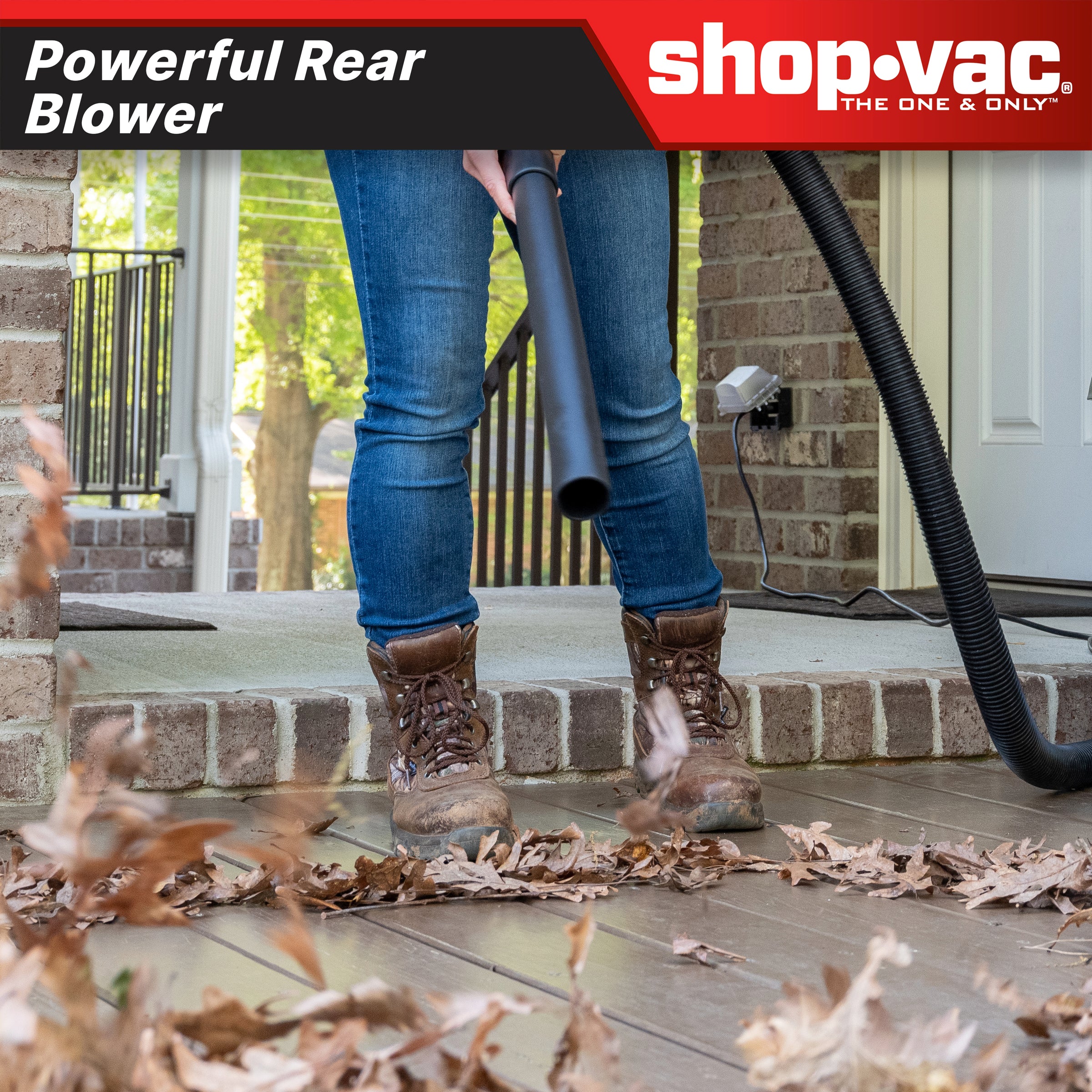 jones0326　47969980 71ta66jRWNL._AC_UL495_SR435,